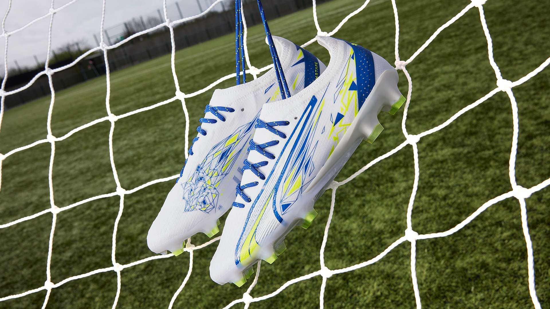 拥有一流的 拥有一流的